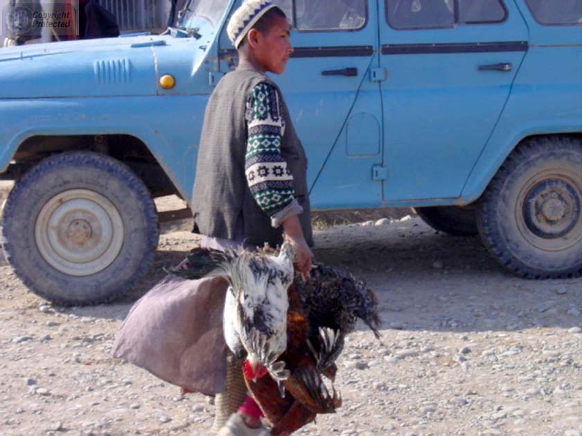 Boy with Chickens